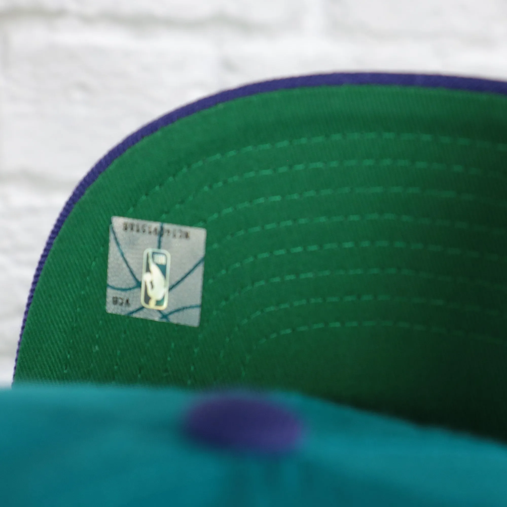 Charlotte Hornets NBA Team 2 Tone 2.0 Green bottom | Teal/Purple Snapback Hat