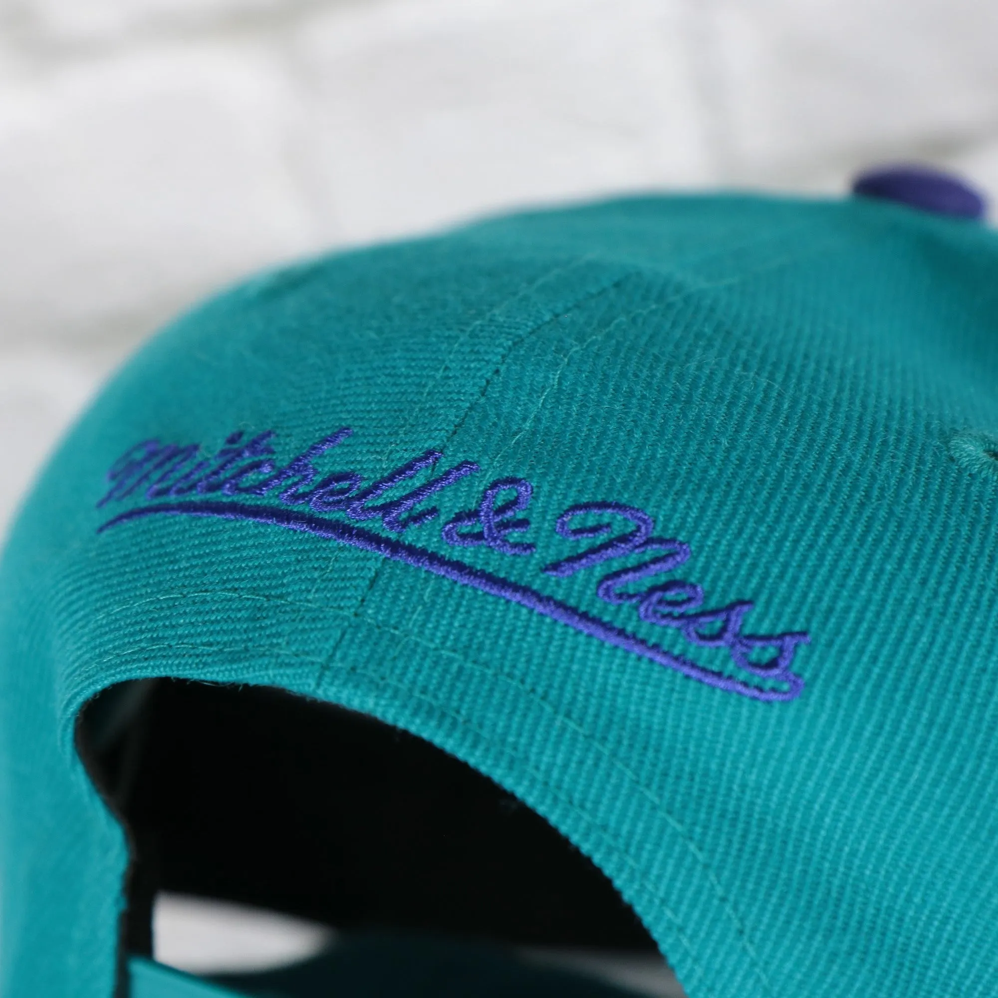 Charlotte Hornets NBA Team 2 Tone 2.0 Green bottom | Teal/Purple Snapback Hat