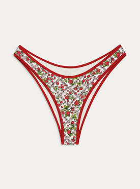 Dove Classic Bikini Bottom in Berry in Love